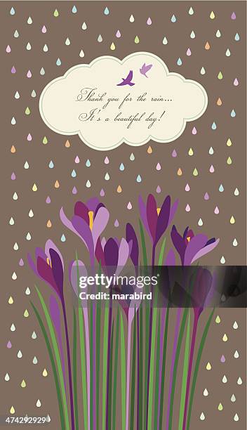 violet crocuses under light rain of colorful drops - corolla petals stock illustrations