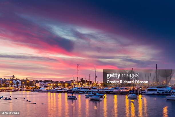 yacht harbour at dusk - punta del este photos et images de collection