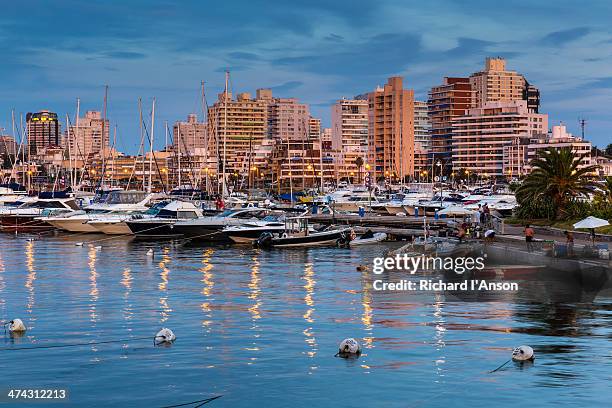 yacht harbour & city skyline at sunset - punta del este photos et images de collection