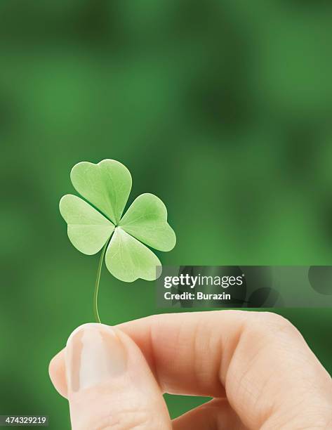 hand holding a four leaf clover - símbolo do trevo de quatro folhas - fotografias e filmes do acervo