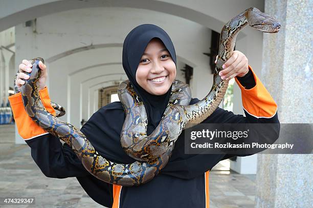 Women Vs Python 166 Phyton Stock Photos, High-Res Pictures, and Images - Getty Images