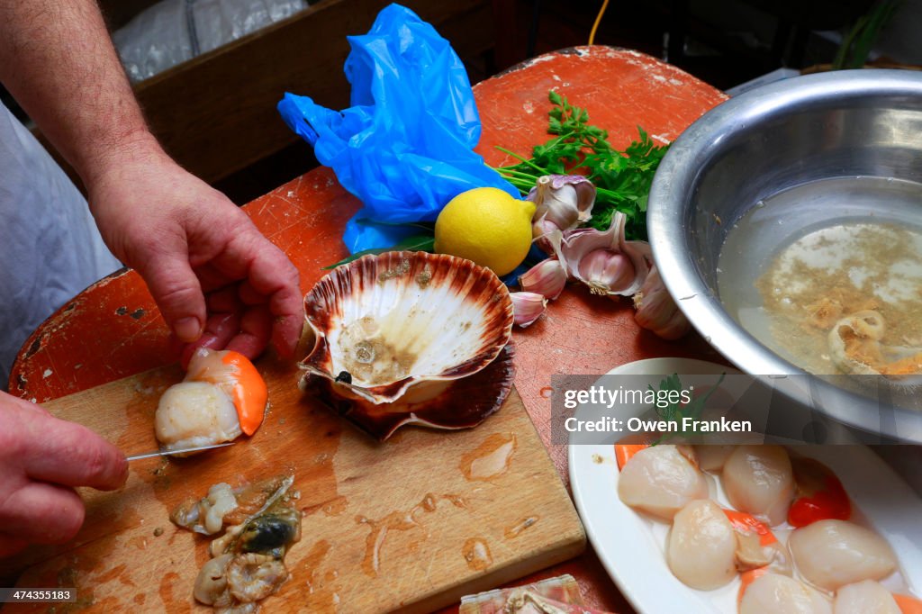 Chef opening and cleaning sea scallops