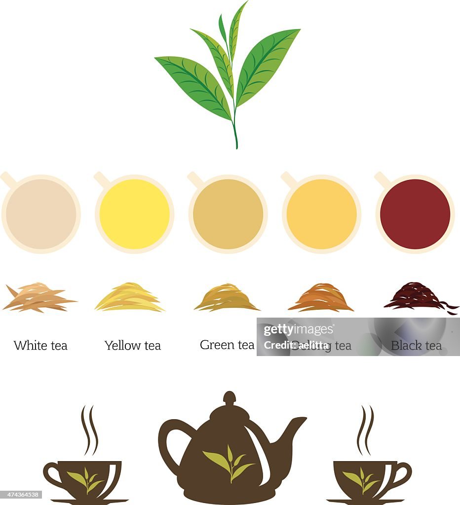 Types of Tea