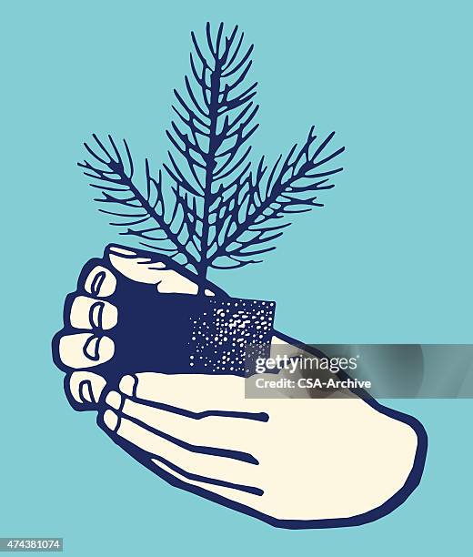hands holding sapling - sapling stock illustrations