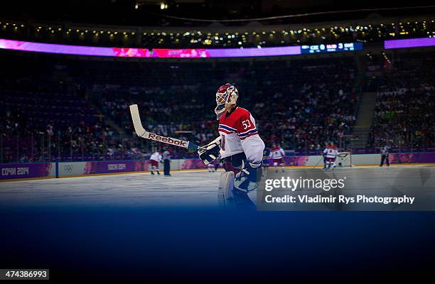 Alexander Salak of Czech Republic during during the Men's Ice Hockey Preliminary Round Group C game on day five of the Sochi 2014 Winter Olympics at...
