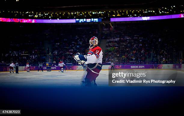 Alexander Salak of Czech Republic during during the Men's Ice Hockey Preliminary Round Group C game on day five of the Sochi 2014 Winter Olympics at...