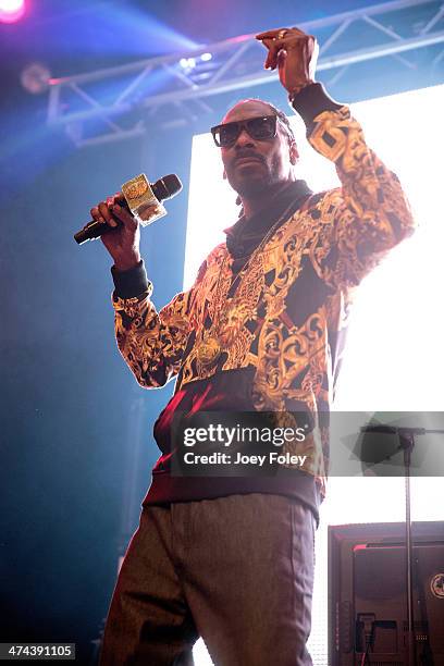 Snoop Lion a.k.a. Snoop Dogg performs live onstage at The Vogue on February 22, 2014 in Indianapolis, Indiana.