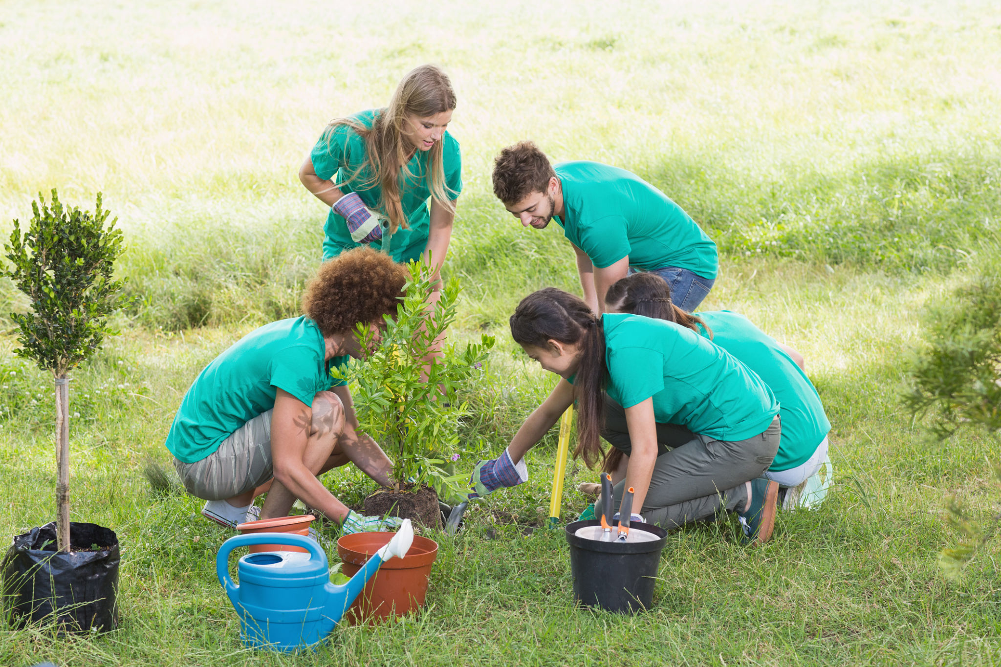 volunteers gardening