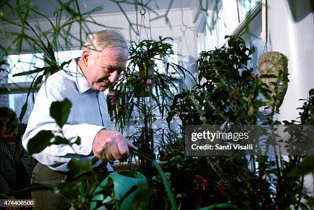 Economist Franco Modigliani in his greenhouse on November 10, 1981 in Cambridge Massachusetts.
