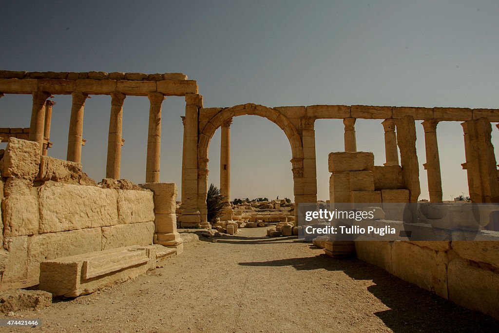 Places To Visit: Unesco World Heritage Site Of Palmyra