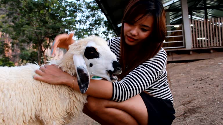3,906 Women Doing Farm Animals Videos and HD Footage - Getty Images 3,906 Women Doing Farm Animals Videos and HD Footage - Getty Images