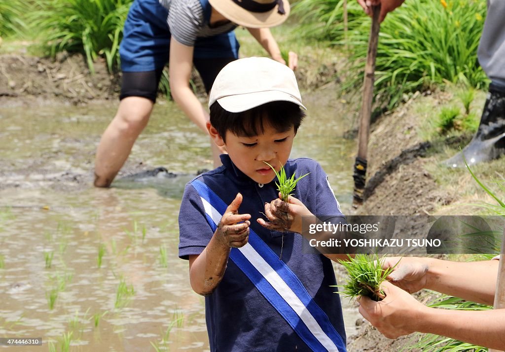 JAPAN-LIFESTYLE-AGRICULTURE-RICE