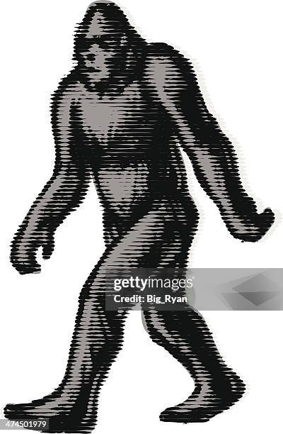 blurry bigfoot - yeti stock illustrations