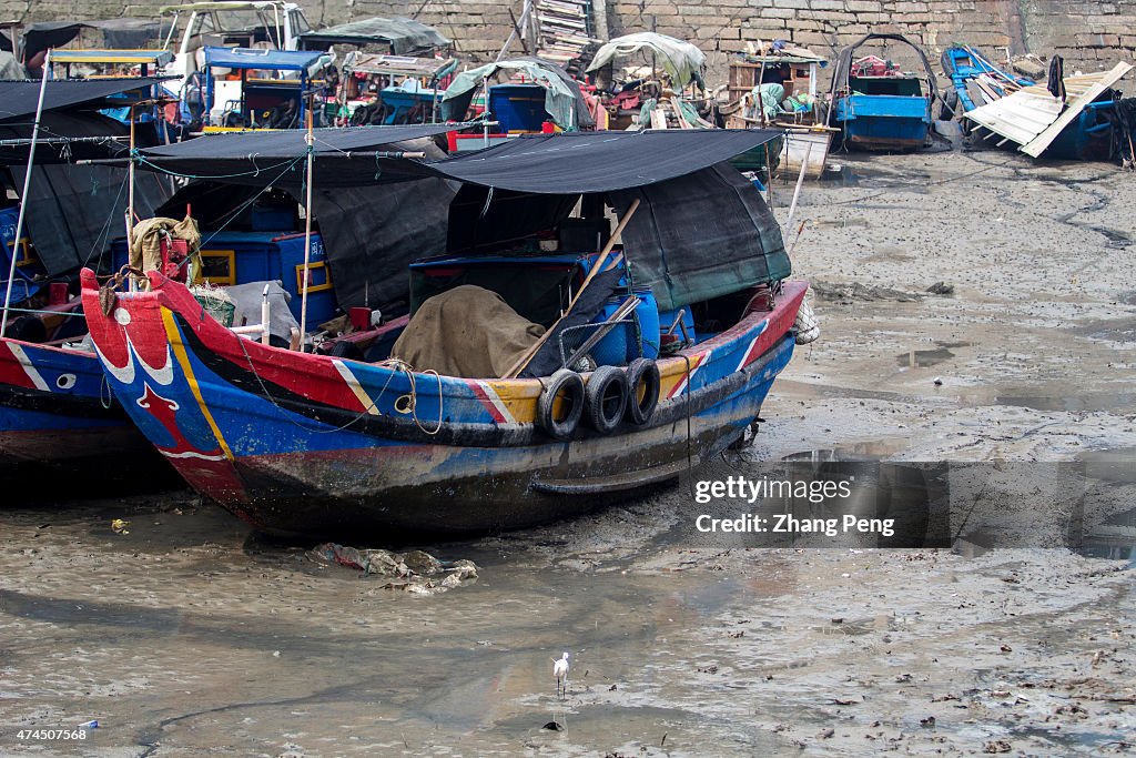 The Last Fishing Port in Xiamen