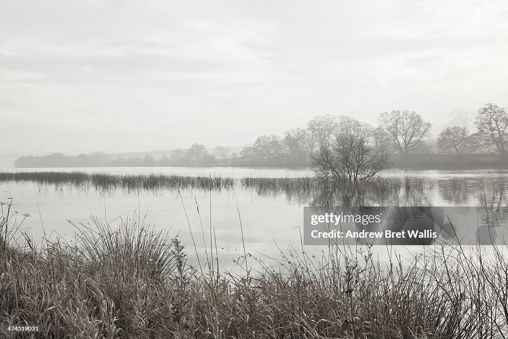 Fog and sunlight across a lakeside