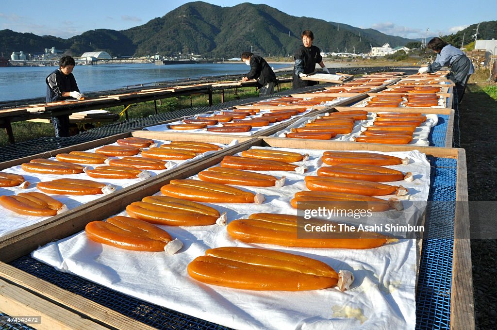 Karasumi Production In Kochi
