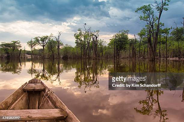sailing in the jungle - amazonas stock pictures, royalty-free photos & images