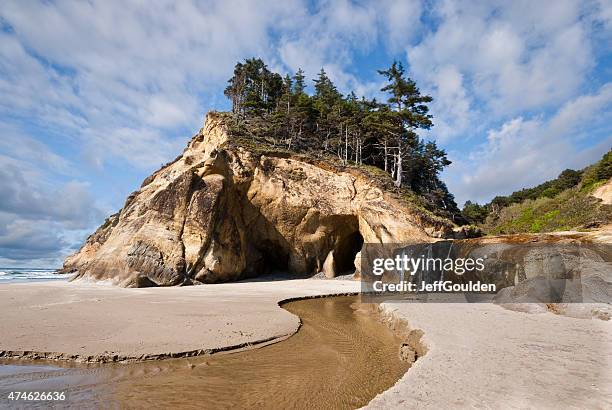 wasserfall fließt in den pazifischen ozean - oregon coast stock-fotos und bilder