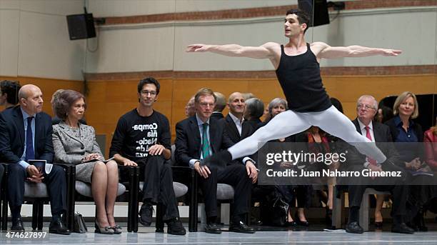 Jose Ignacio Wert, Queen Sofia of Spain and Jose Carlos Martinez visit the National Dance Company at National Dance Company on February 24, 2014 in...