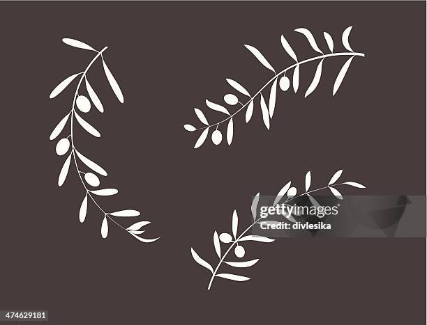 ilustraciones, imágenes clip art, dibujos animados e iconos de stock de olive branch - rama de olivo