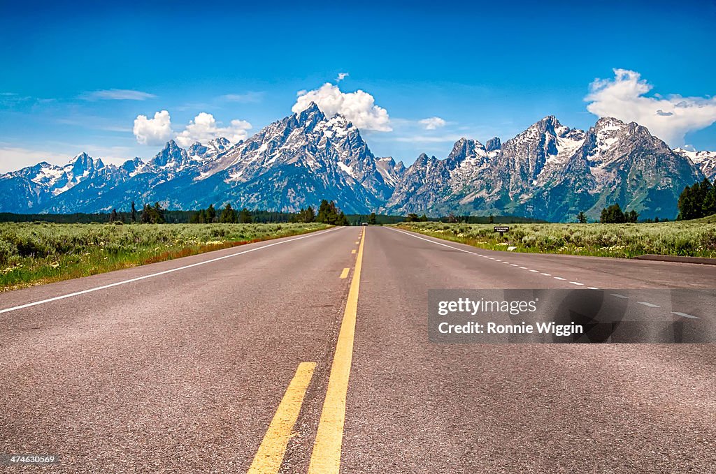 Grand Teton View