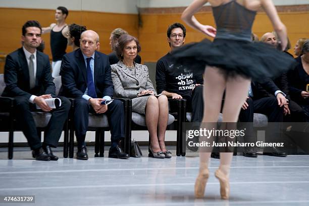 Antonio Najarro, Jose Ignacio Wert, Queen Sofia of Spain and Jose Carlos Martinez visit the National Dance Company at National Dance Company sede on...