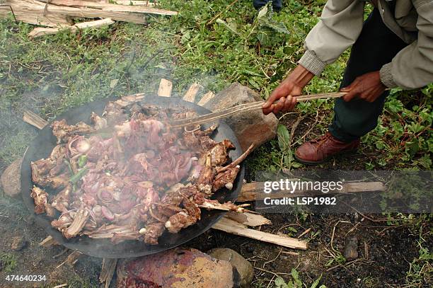 butchers cooking meat on wood fire in nature - camping with bone fire stock pictures, royalty-free photos & images