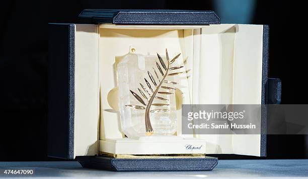 View of the the Palme d'Or trophy at photocall for the winners of the Palme d'Or during the 68th annual Cannes Film Festival on May 24, 2015 in...