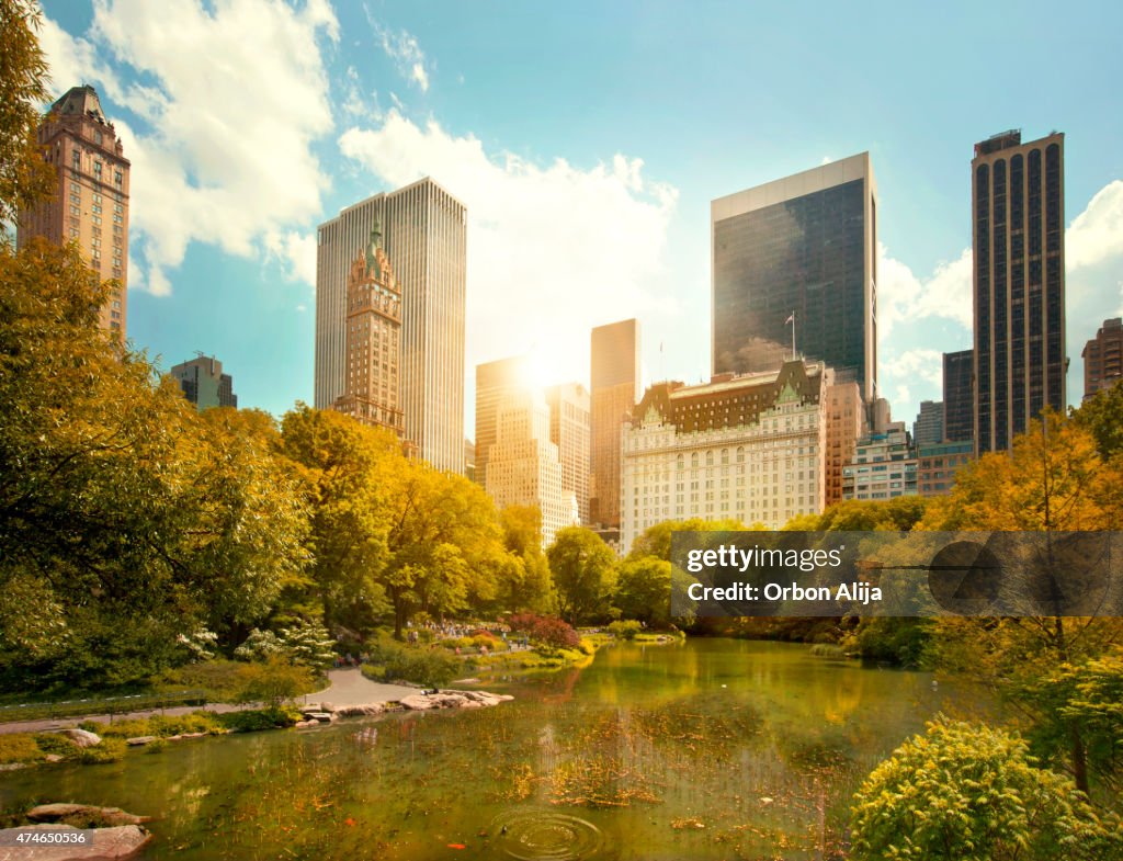 Central Park and Midtown Manhattan, NYC