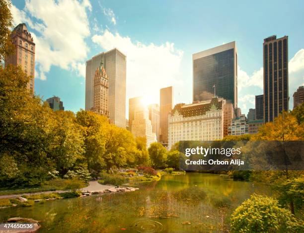 central park and midtown manhattan, nyc - central park new york stock pictures, royalty-free photos & images