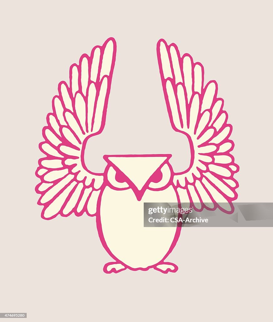 Owl With Wings Spread