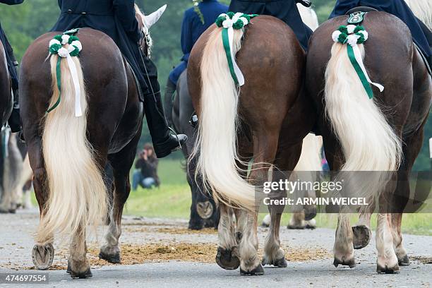 Participants of the Koetztinger Whitsun ride ride their horses near Bad Koetzting, southern Germany, on May 25, 2015. The procession with 900 riders...