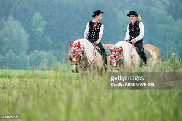 Participants of the Koetztinger Whitsun ride ride their horses near Bad Koetzting, southern Germany, on May 25, 2015. The procession with 900 riders...