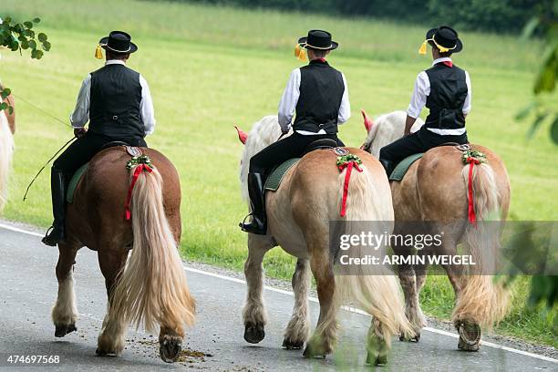 Participants of the Koetztinger Whitsun ride ride their horses near Bad Koetzting, southern Germany, on May 25, 2015. The procession with 900 riders...