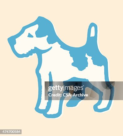 Terrier Terrier