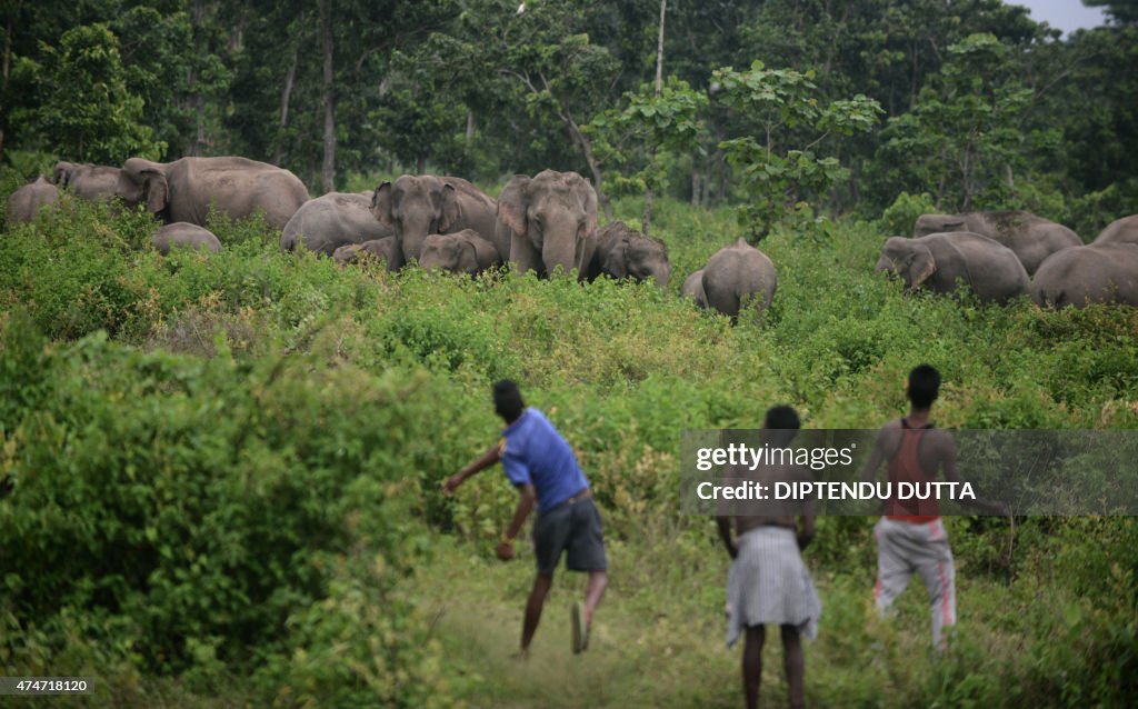 TOPSHOT-INDIA-ENVIRONMENT-ELEPHANTS