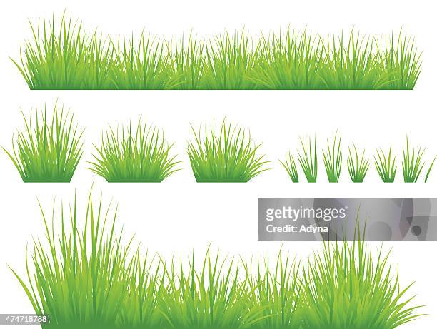 illustrazioni stock, clip art, cartoni animati e icone di tendenza di erba di primavera - grass