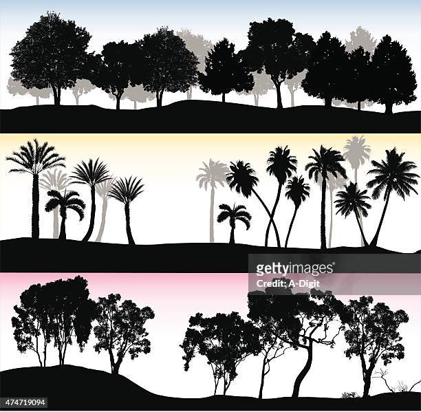 treelines trio - eucalyptus tree 幅插畫檔、美工圖案、卡通及圖標