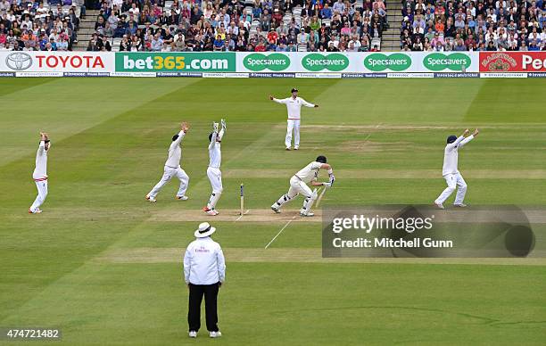 Corey Anderson of New Zealand batting as England players successfully appeal for the wicket during day five of the 1st Investec Test match between...