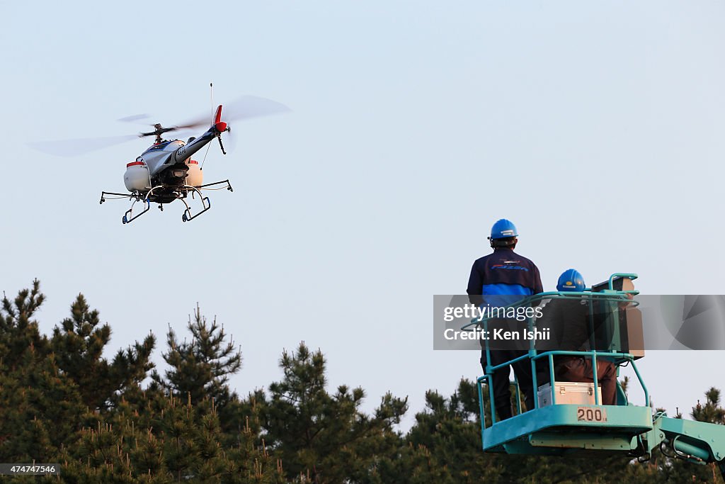 YAMAHA's Unmanned Helicopter Sprays Pesticides In Scenic Miho Pine Grove