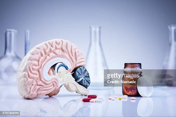 brain in the laboratory - verslaving stockfoto's en -beelden