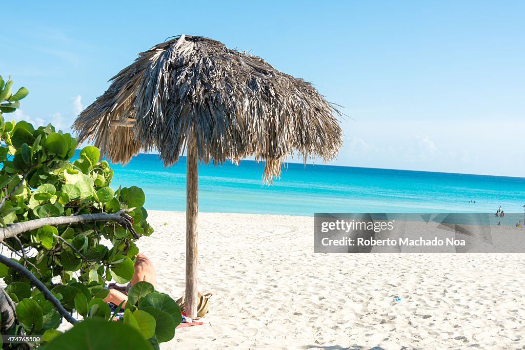 An umbrella made of dry palm fronds on a beach with blue and...