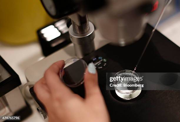 An employee works with a liquid solution in a laboratory for In Vitro Fertilisation at the Genesis fertility clinic in Athens, Greece, on Thursday,...