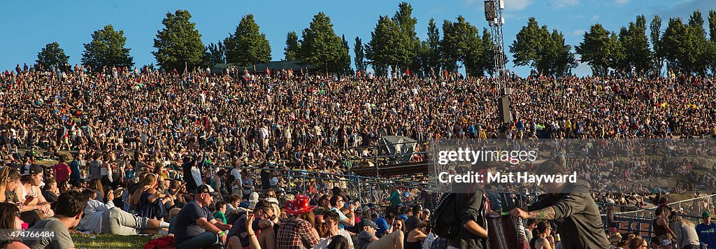 2015 Sasquatch! Music Festival