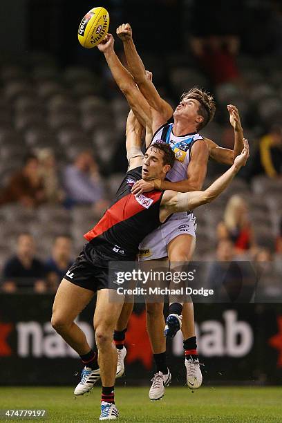 Kyle Hardingham 207 Paul Stewart Australian Rules Football Player Photos & High Res ...
