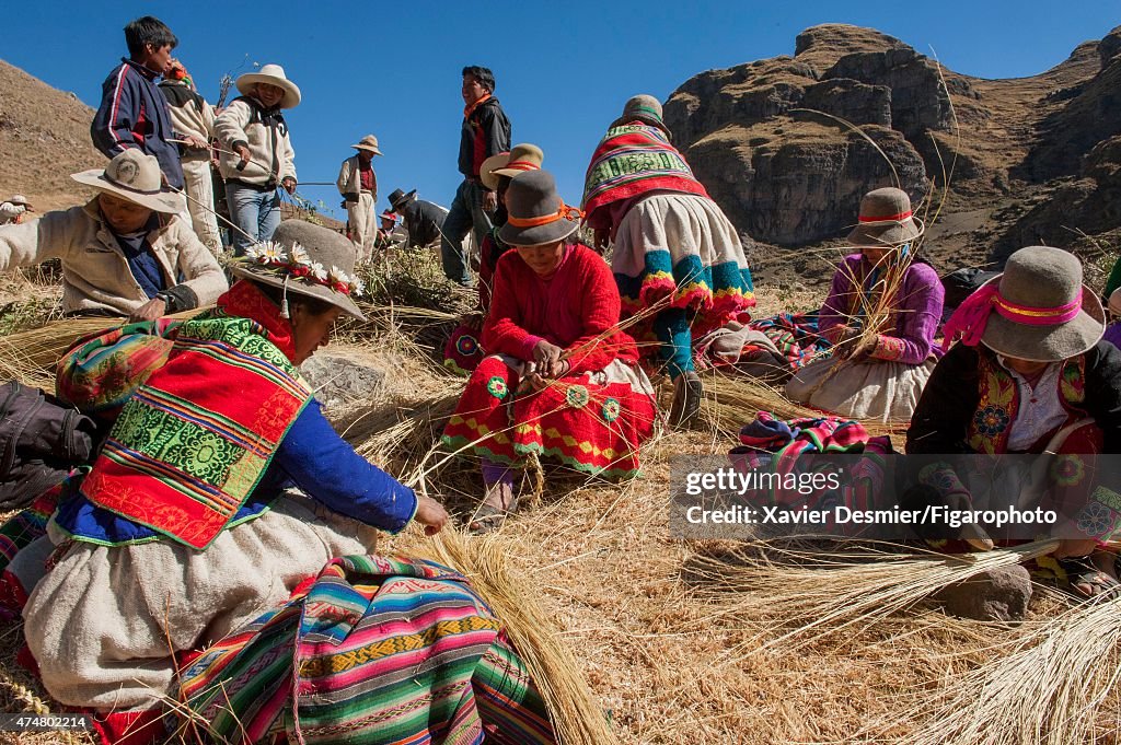 Incas, Le Figaro, January 16, 2015