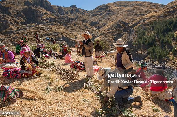 Canas Rope Canas Province Photos and Premium High Res Pictures - Getty Images