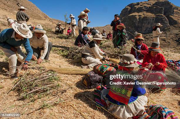 Canas Rope Canas Province Photos and Premium High Res Pictures - Getty Images