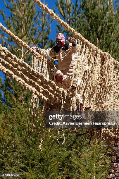Inca Communication Rope 132 Inca Rope Bridge Stock Photos, High-Res Pictures, and Images ...
