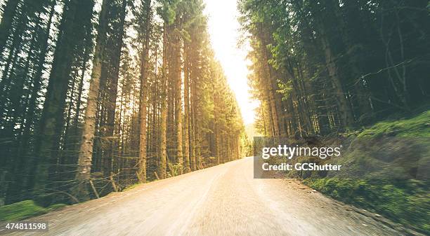 old mountain road leading to a bright light - green vanishing point stock pictures, royalty-free photos & images